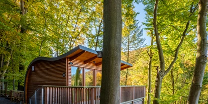 Hüttendorf - PLZ 38871 (Deutschland) - Baumhaus Elvis - sonnenresort ETTERSHAUS