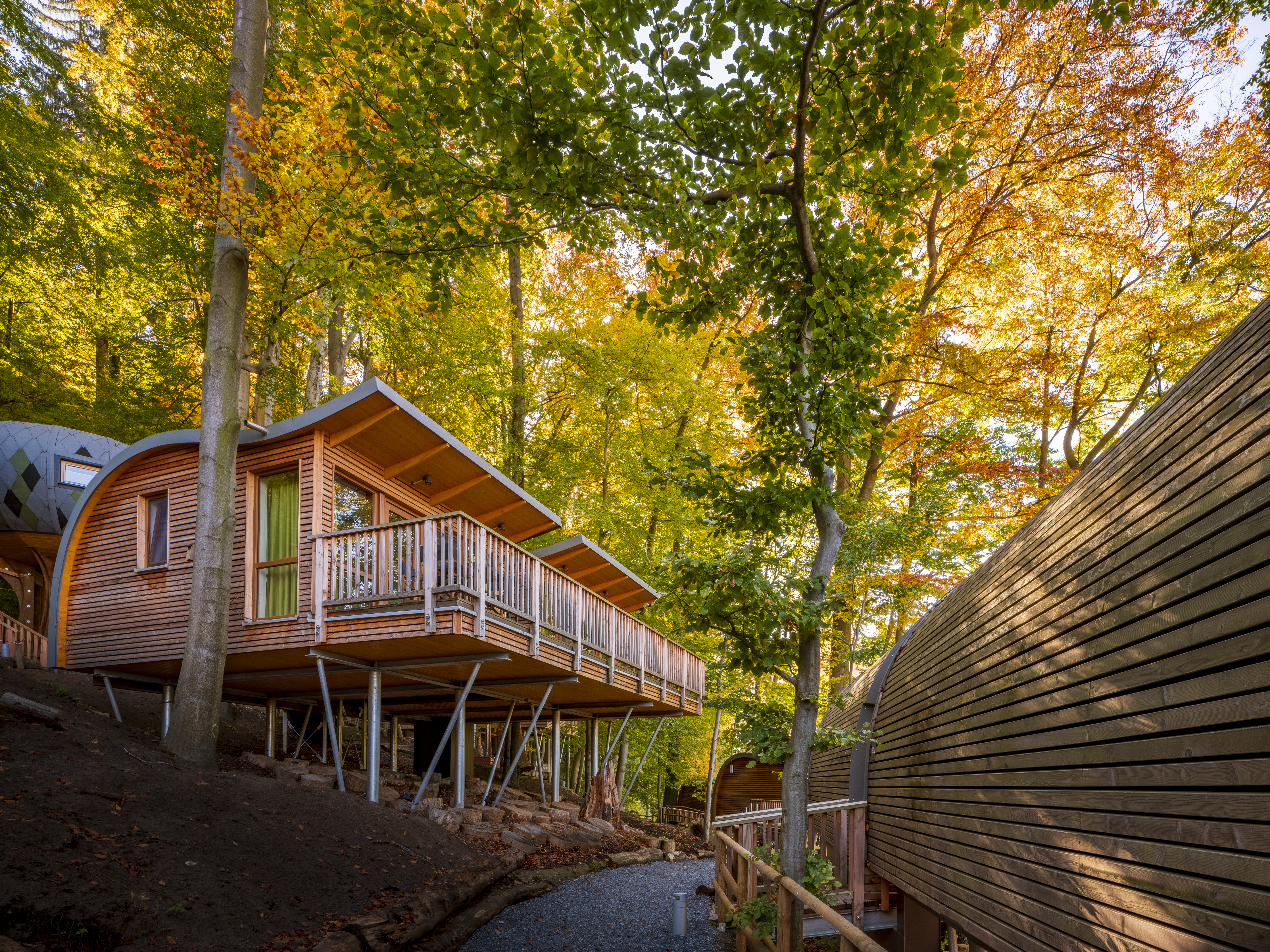 Chalet: Baumhaus Elvis - sonnenresort ETTERSHAUS