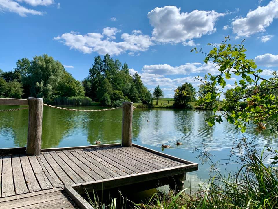 Chalet: Badesee in unmittelbarer Umgebung (auch für Hunde) - Das MUSSEA Landhaus Chalet & Scheunenloft 