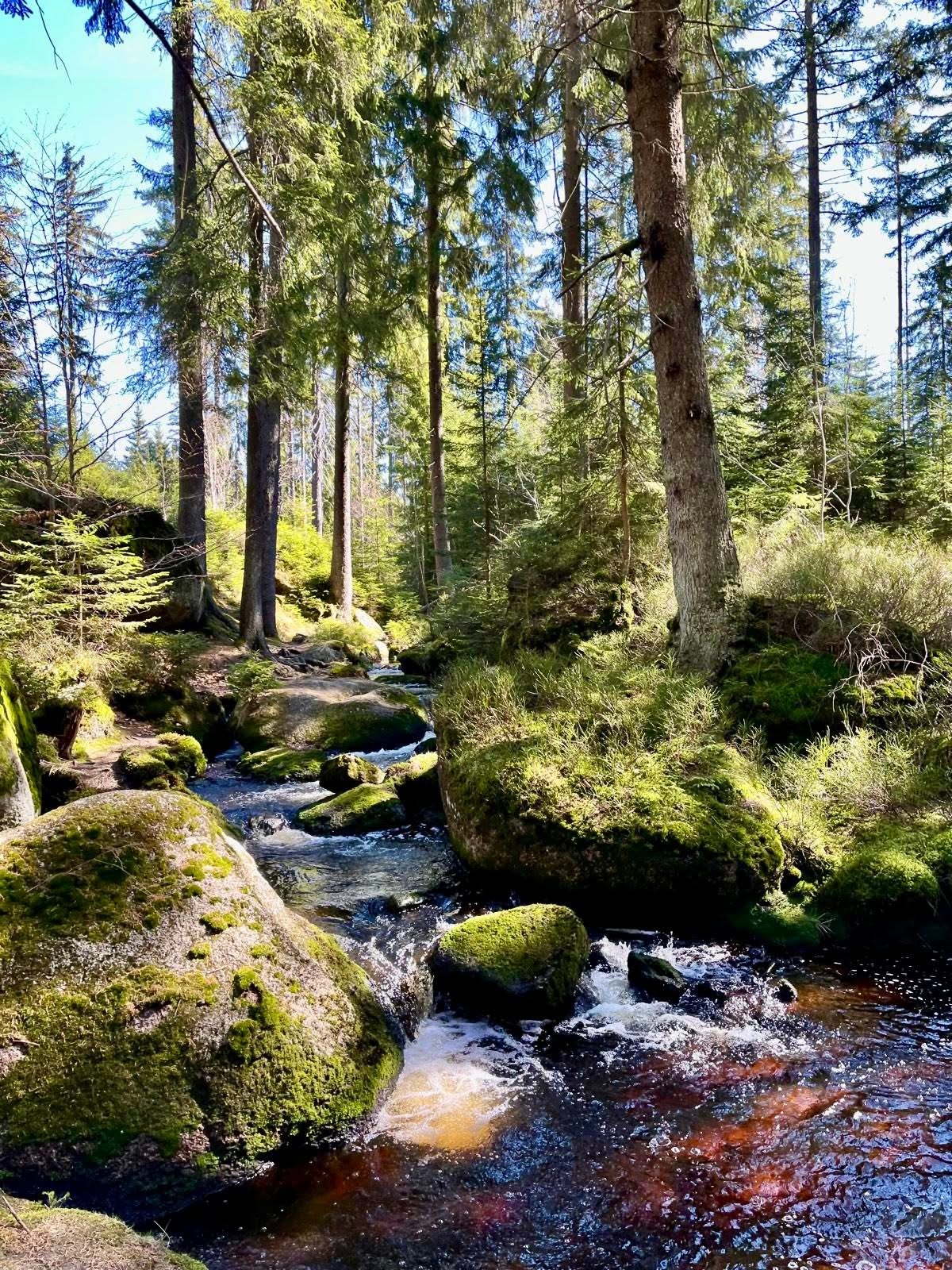 Das MUSSEA Landhaus Chalet & Scheunenloft  Ausflugsziele Naturpfad Oberes Weißmaintal