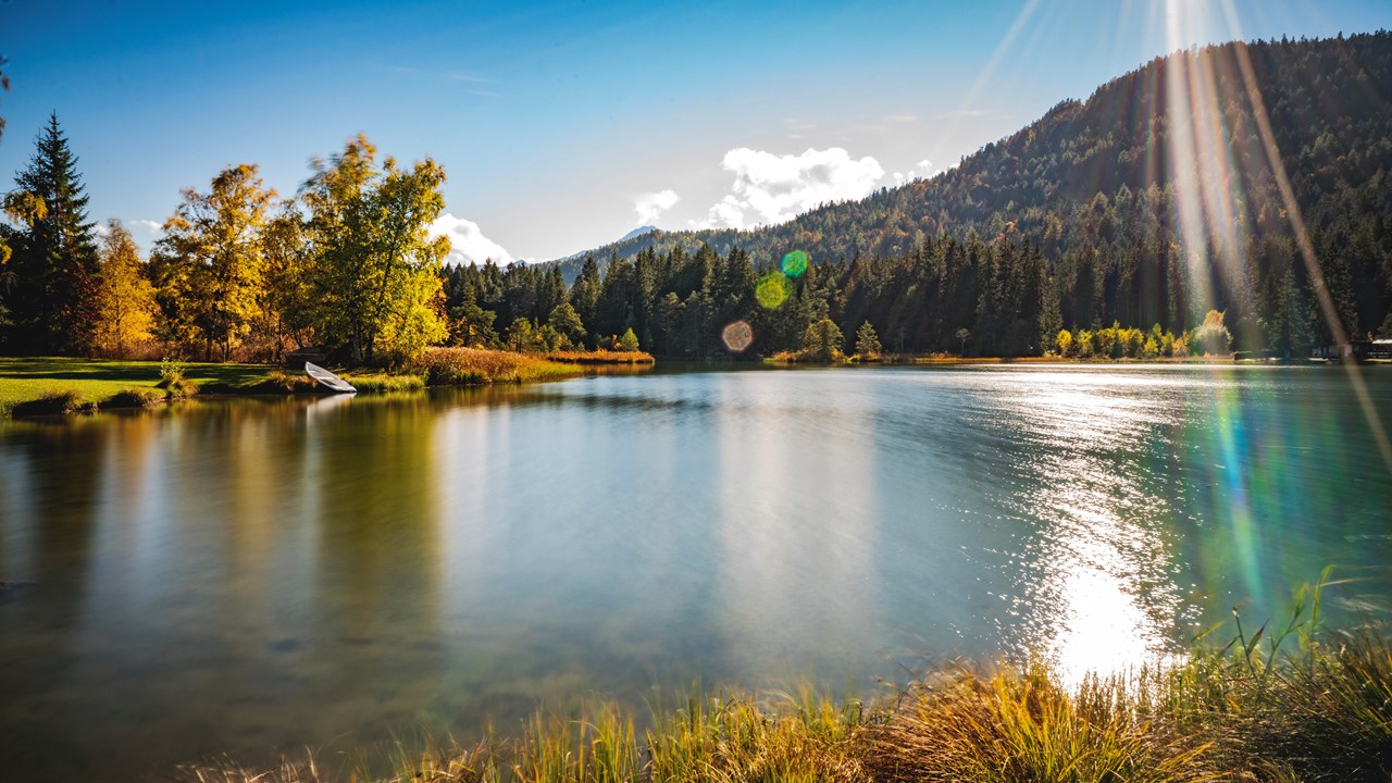 AlpenParks Chalet & Apartment Alpina Seefeld Ausflugsziele Wildsee