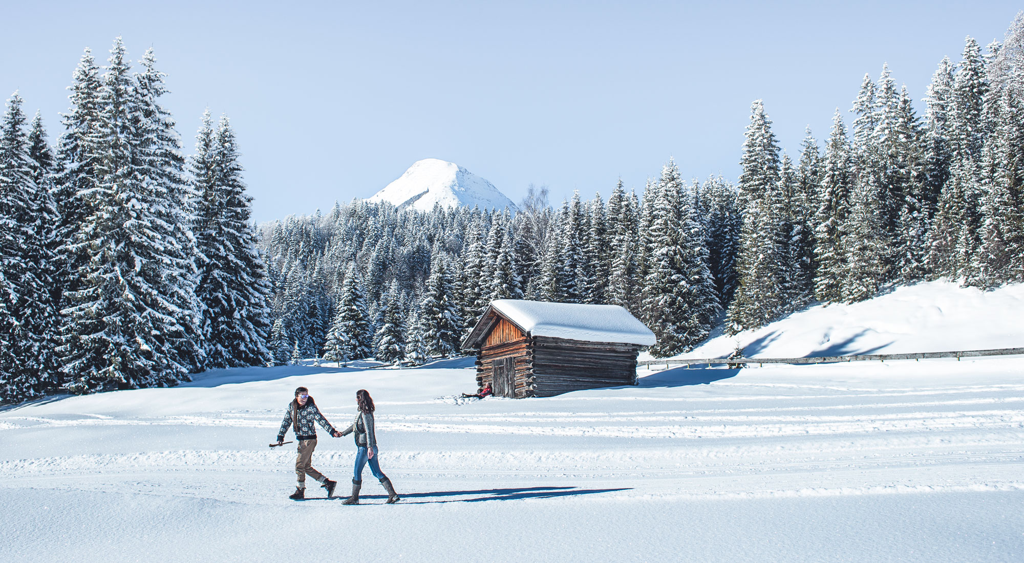 Chalet: AlpenParks Chalet & Apartment Alpina Seefeld