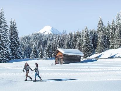 Hüttendorf - Fügenberg - AlpenParks Chalet & Apartment Alpina Seefeld