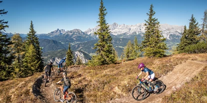 Hüttendorf - Weng (Goldegg) - Die unendlichen Weiten und traumhaften Almen in Ramsau am Dachstein bieten sich geradezu ideal für Mountainbiker an. - Luxus Chalet Annelies