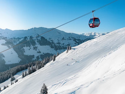 Hüttendorf - Chaletgröße: 4 - 6 Personen - Pinzgau - AlpenParks Chalet & Apartment Steve Lodge Viehhofen