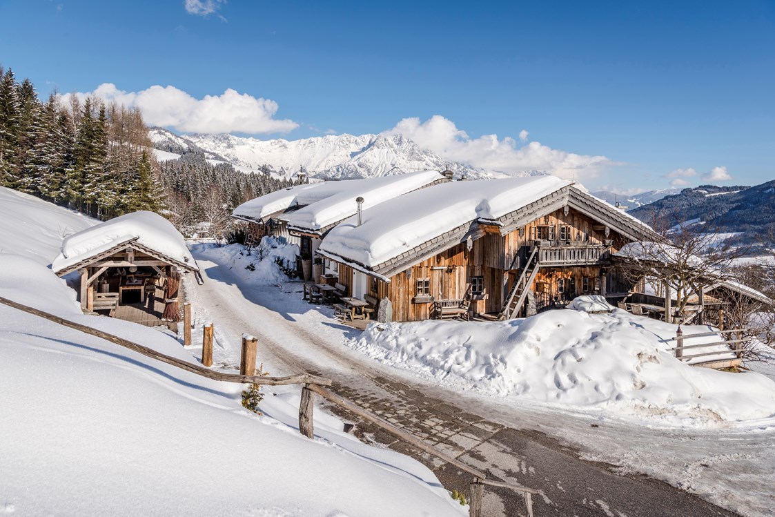 Chalet: Huwi's Alm im Schnee - PRIESTEREGG Premium ECO Resort