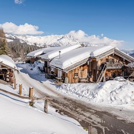 Chalet: Huwi's Alm im Schnee - PRIESTEREGG Premium ECO Resort