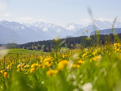Hüttendorf - Schröcken - Ofterschwanger Bergpanorama - Chalet F
