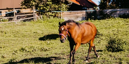 Hüttendorf - Baden-Württemberg - Pony - Streuobst Chalets