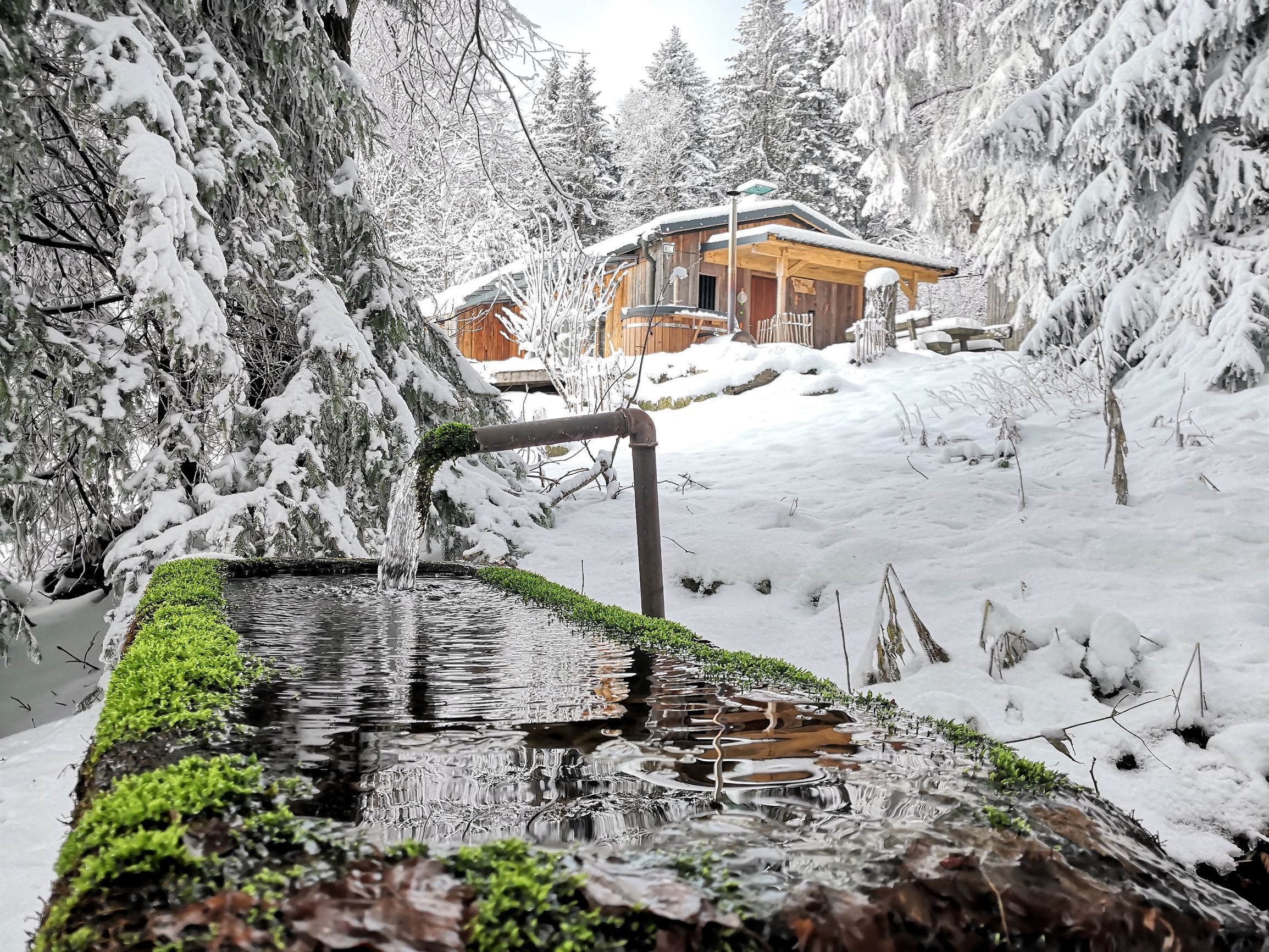 Chalet: Chalet HERZblatt im Winter - Traumhütten für Zwoa