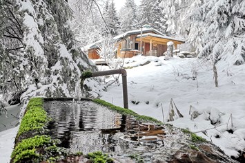 Chalet: Chalet HERZblatt im Winter - Traumhütten für Zwoa