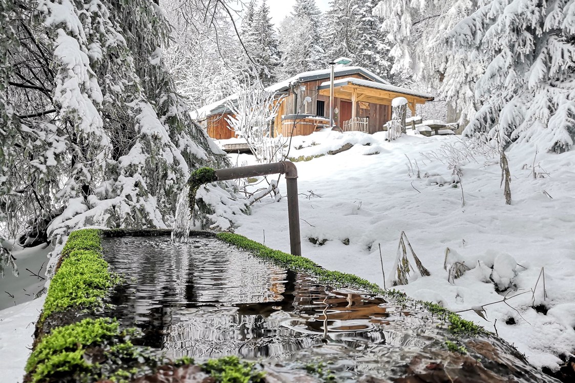 Chalet: Chalet HERZblatt im Winter - Traumhütten für Zwoa