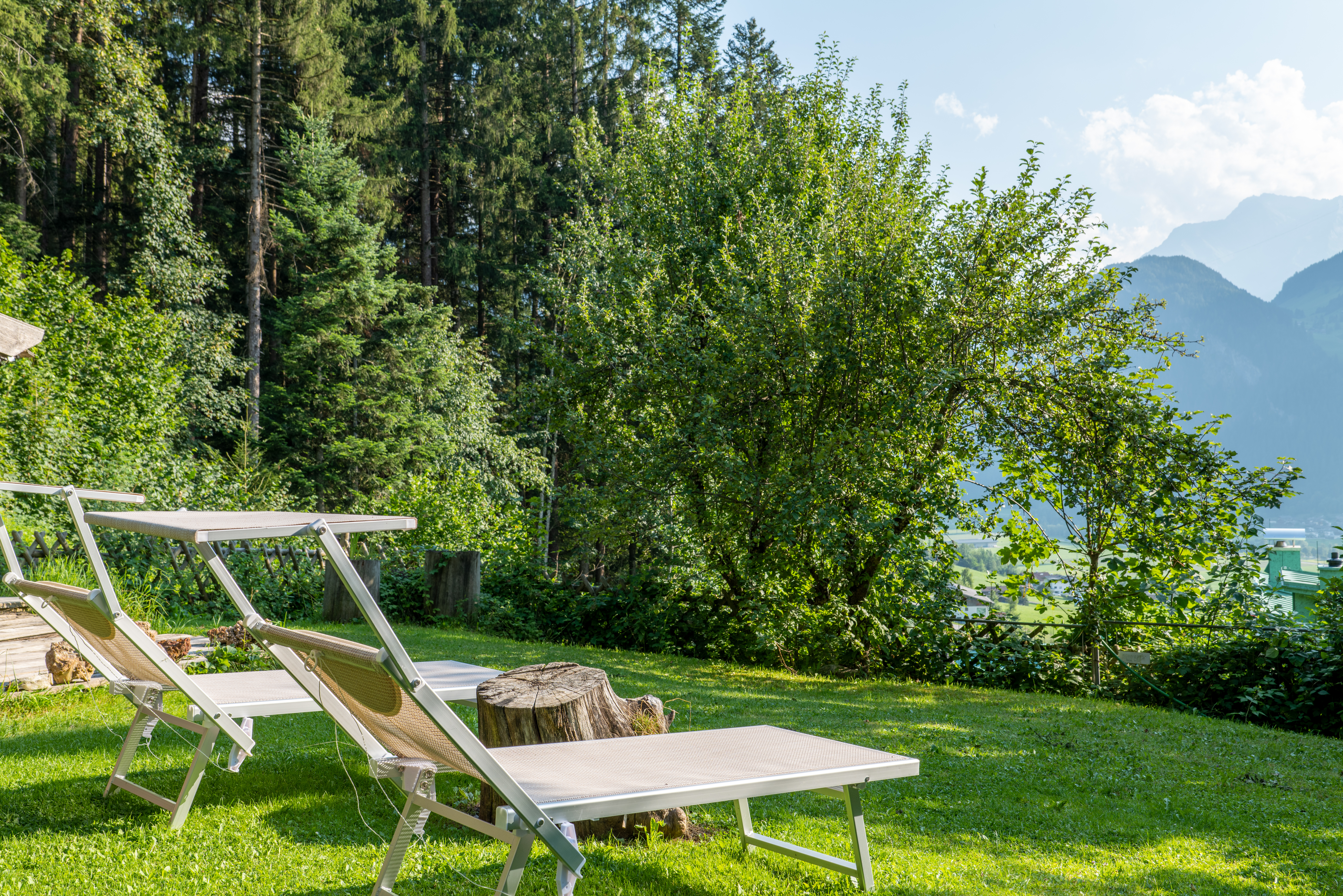 Hüttendorf - Schwerpunkt: Urlaub mit Hund - Kitzbühel - Chalet Mühlermoos