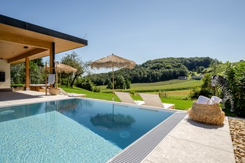 Chalet: Infinity Pool - Beachhouse & Pool - Julianhof - Premium Guesthouse & Spa