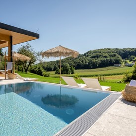 Chalet: Infinity Pool - Beachhouse & Pool - Julianhof - Premium Guesthouse & Spa