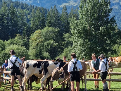 Hüttendorf - Schröcken - Viehscheid - Alpenflair-Chalets- Balderschwang
