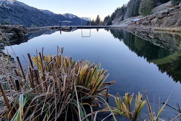 Chalet: Unser Schwimmteich in der Winterruhe - Alpenflair-Chalets- Balderschwang