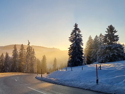 Hüttendorf - Schröcken - Anfahrt über den Riedbergpass - Alpenflair-Chalets- Balderschwang