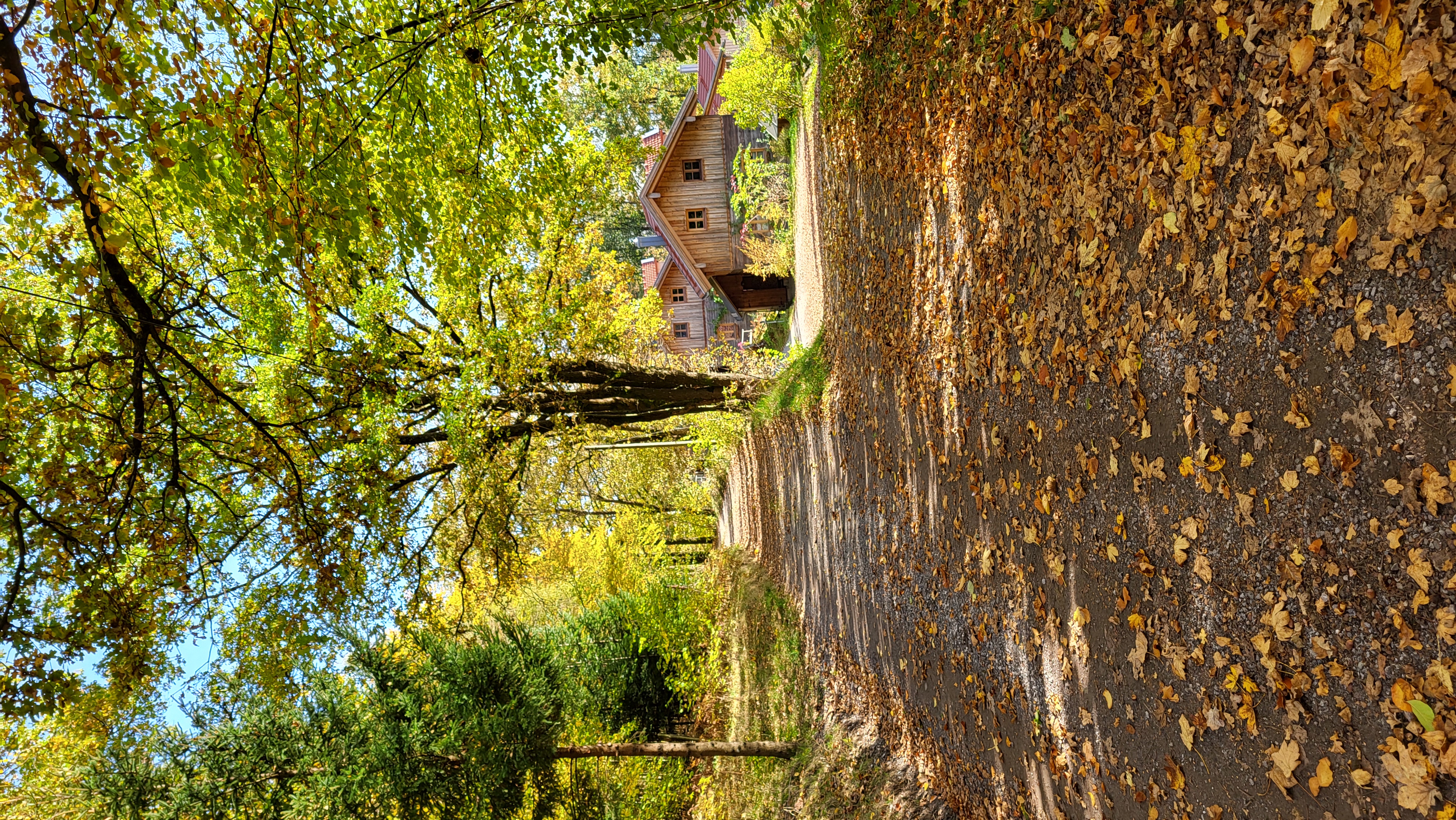 Chalet: Ferienhäuser Sunleitn