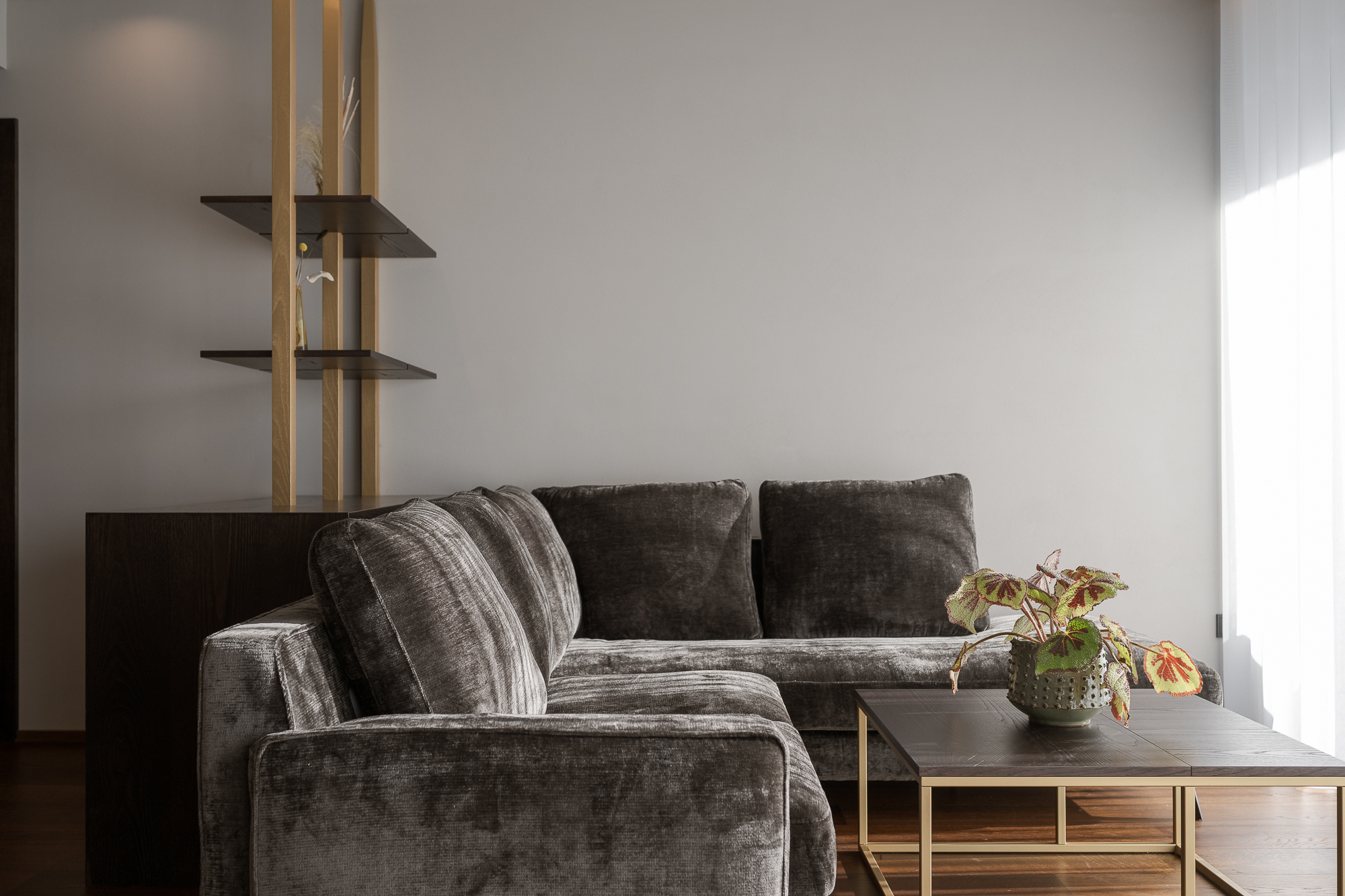 Chalet: Chalet Collis