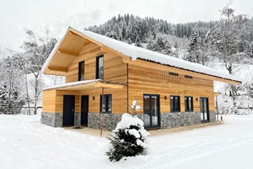 Chalet: Chalet Doppel im Winter - DualResorts Afritz am See