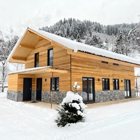 Chalet: Chalet Doppel im Winter - DualResorts Afritz am See
