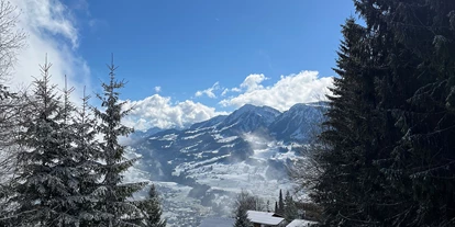Hüttendorf - Parkplatz direkt an der Hütte - Bregenzerwald Ferienhaus