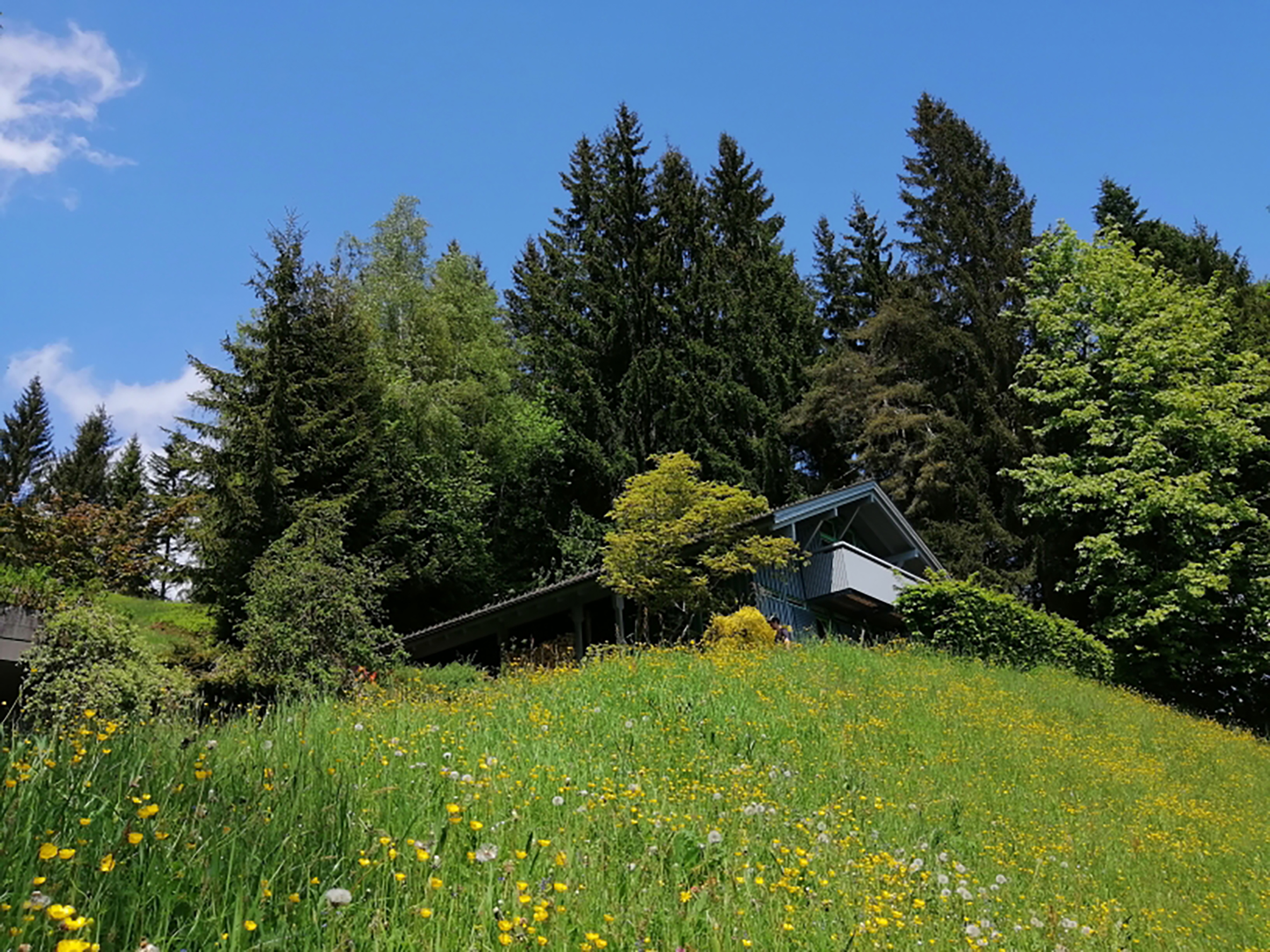 Hüttendorf - Neukirch (Bodenseekreis) - Bregenzerwald Ferienhaus