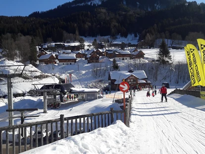Hüttendorf - Ausseerland - Salzkammergut - Blick in Richtung Skibrücke, Skiarena, Loser. Einen Teil der Hagan Lodges sieht man links oben, direkt an der Loser Piste. - AlpenParks Hagan Lodge Altaussee