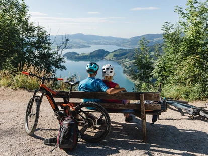 Hüttendorf - Ausseerland - Salzkammergut - AlpenParks Hagan Lodge Altaussee