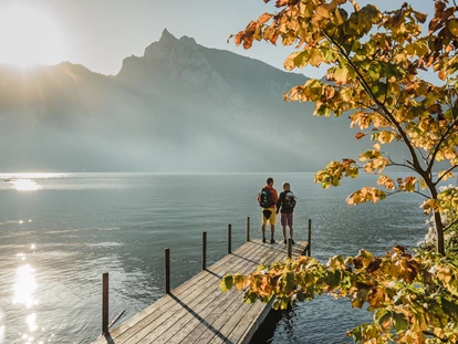 Hüttendorf - Ausseerland - Salzkammergut - AlpenParks Hagan Lodge Altaussee