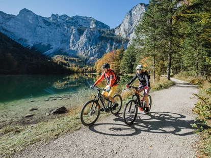 Hüttendorf - Ausseerland - Salzkammergut - AlpenParks Hagan Lodge Altaussee