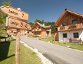 Chalet: AlpenParks Hagan Lodge Altaussee