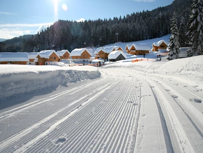 Hüttendorf - Ausseerland - Salzkammergut - AlpenParks Hagan Lodge Altaussee