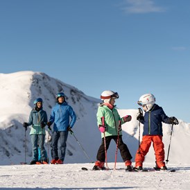 Chalet: Skifahren - Chalet VIE