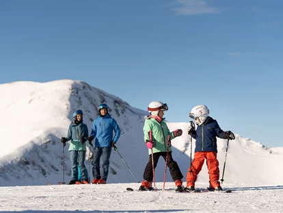 Hüttendorf - PLZ 5672 (Österreich) - Skifahren - Chalet VIE