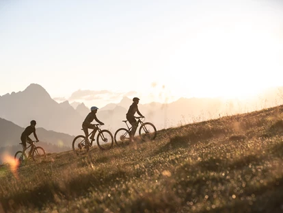Hüttendorf - PLZ 5672 (Österreich) - Biken - Chalet VIE