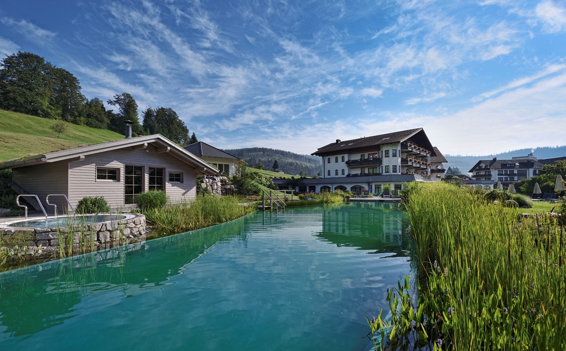 Chalet: Hotel Engel Obertal-Naturbadesee und Blockhaussaunen - Chalets Engel Obertal 