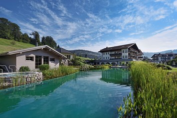 Chalet: Hotel Engel Obertal-Naturbadesee und Blockhaussaunen - Chalets Engel Obertal 