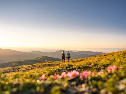 Hüttendorf - Chaletgröße: 8 - 10 Personen - Wanderurlaub in Kärnten - Trattlers Hof-Chalets