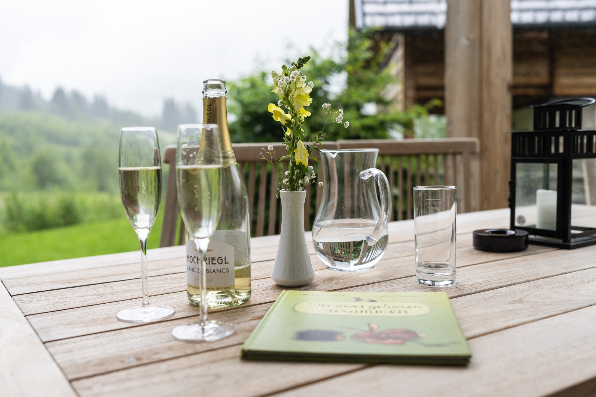 Chalet: Panoramablick in die Kärntner Nockberge - Trattlers Hof-Chalets - Außen