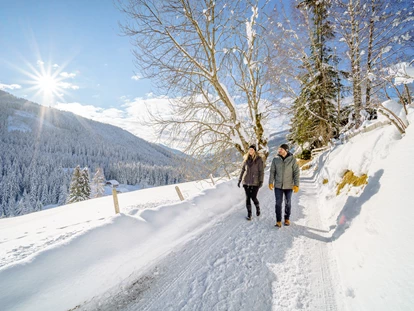 Hüttendorf - Chaletgröße: 8 - 10 Personen - Winterwanderungen - Trattlers Hof-Chalets