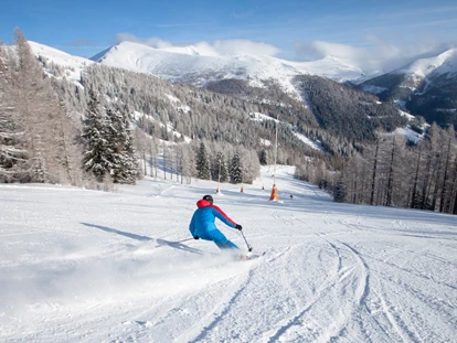 Hüttendorf - Chaletgröße: 8 - 10 Personen - Skiurlaub in Bad Kleinkirchheim - Trattlers Hof-Chalets