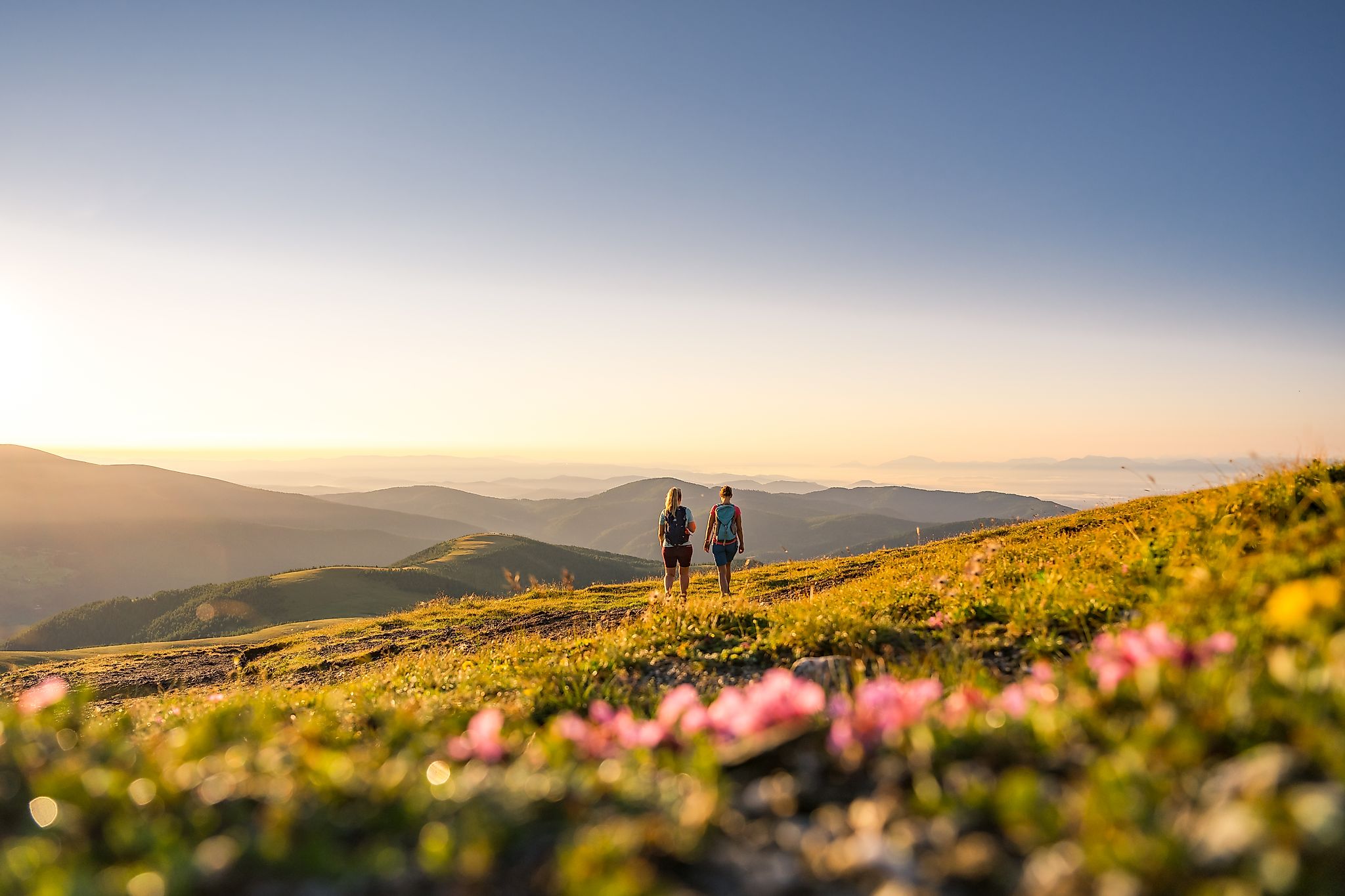 Chalet: Wandern im Sommer - Trattlers Hof-Chalets