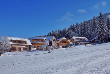 Chalet: Trattlers Hof-Chalets direkt an der Skipiste / Ski-in & Ski-out - Trattlers Hof-Chalets
