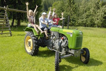 Chalet: GUTshof-Erlebnisse - Oldtimer Traktoren Ausfahrten - Trattlers Hof-Chalets