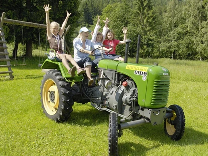 Hüttendorf - Chaletgröße: 8 - 10 Personen - GUTshof-Erlebnisse - Oldtimer Traktoren Ausfahrten - Trattlers Hof-Chalets