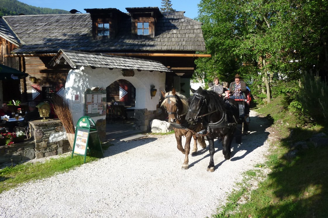 Chalet: Pferdekutschen-Erlebnisfahrten - Trattlers Hof-Chalets