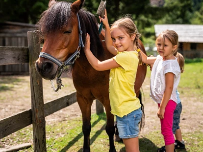 Hüttendorf - Chaletgröße: 8 - 10 Personen - Trattlers Sommer Ponyfarm - Trattlers Hof-Chalets