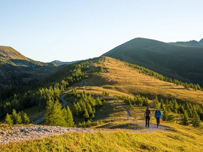 Hüttendorf - Chaletgröße: 8 - 10 Personen - Wanderurlaub inmitten der Region Nockberge - Trattlers Hof-Chalets